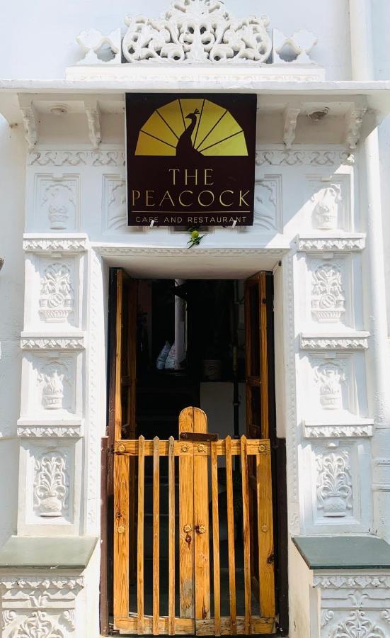 Peacock Paying Guest House Udaipur Exterior foto